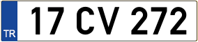 Trailer License Plate
